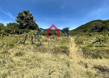 Foto 59 - Rustico Borgo a Mozzano - foto 59