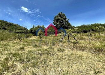 Foto 60 - Rustico Borgo a Mozzano - foto 60