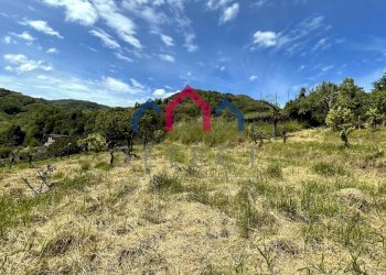 Foto 61 - Rustico Borgo a Mozzano - foto 61