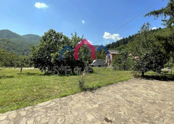 Foto 11 - Rustico Piazza al Serchio - foto 11