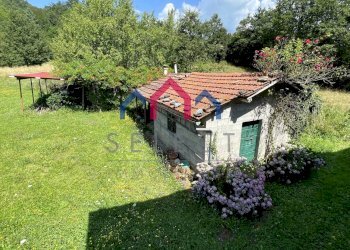 Foto 76 - Rustico Piazza al Serchio - foto 76