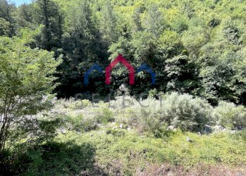 Foto 32 - Casa indipendente 85, Bagni di Lucca - foto 32