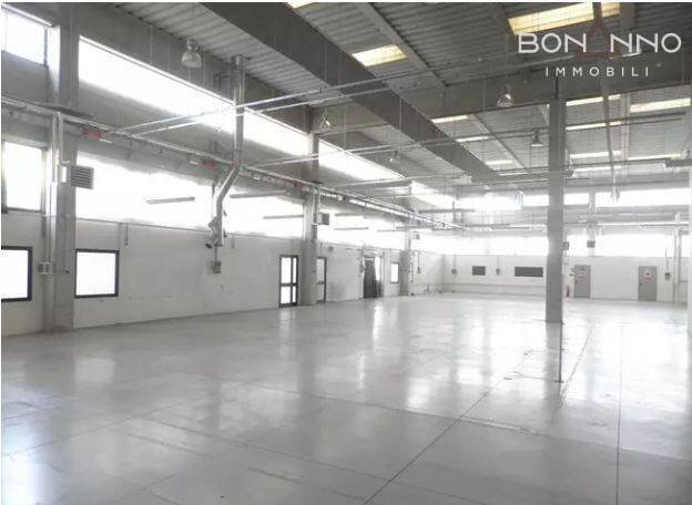 Foto 3 - Shed viale della repubblica
 
999, Treviso - photo 3