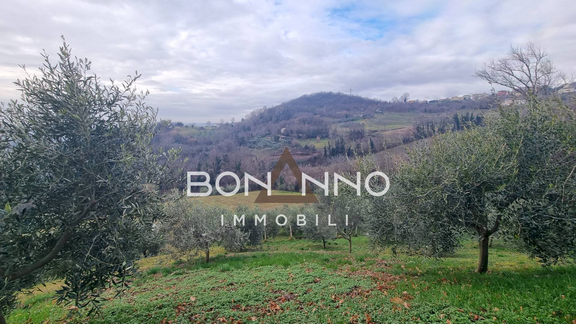 Foto 3 - Terreno agricolo via costa rive, Vittorio Veneto - foto 3