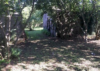 Foto 5 - Rustico via lucci
 
1, Ottaviano - foto 5