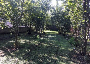 Foto 6 - Rustico via lucci
 
1, Ottaviano - foto 6