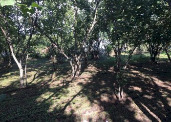 Foto 7 - Rustico via lucci
 
1, Ottaviano - foto 7