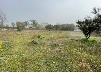 Foto 8 - Casa indipendente via lucci
 
1, Ottaviano - foto 8