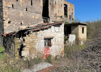 Foto 3 - Rustico Via Lucci
 
2, Ottaviano - foto 3