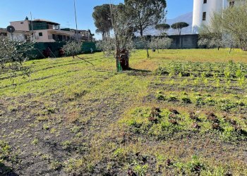 Foto 5 - Rustico Via Lucci
 
2, Ottaviano - foto 5