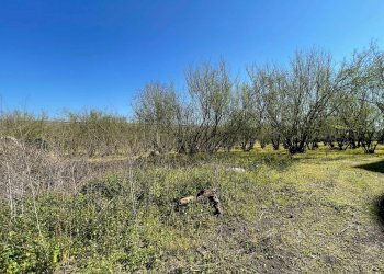 Foto 6 - Rustico Via Lucci
 
2, Ottaviano - foto 6