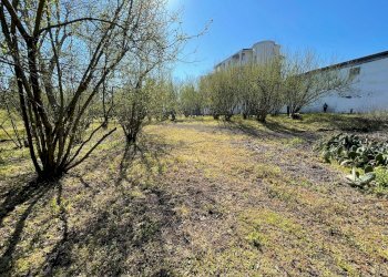 Foto 9 - Rustico Via Lucci
 
2, Ottaviano - foto 9