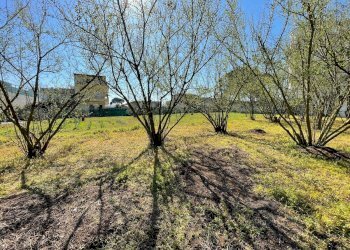 Foto 14 - Rustico Via Lucci
 
2, Ottaviano - foto 14