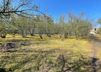 Foto 16 - Rustico Via Lucci
 
2, Ottaviano - foto 16