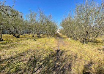 Foto 17 - Rustico Via Lucci
 
2, Ottaviano - foto 17