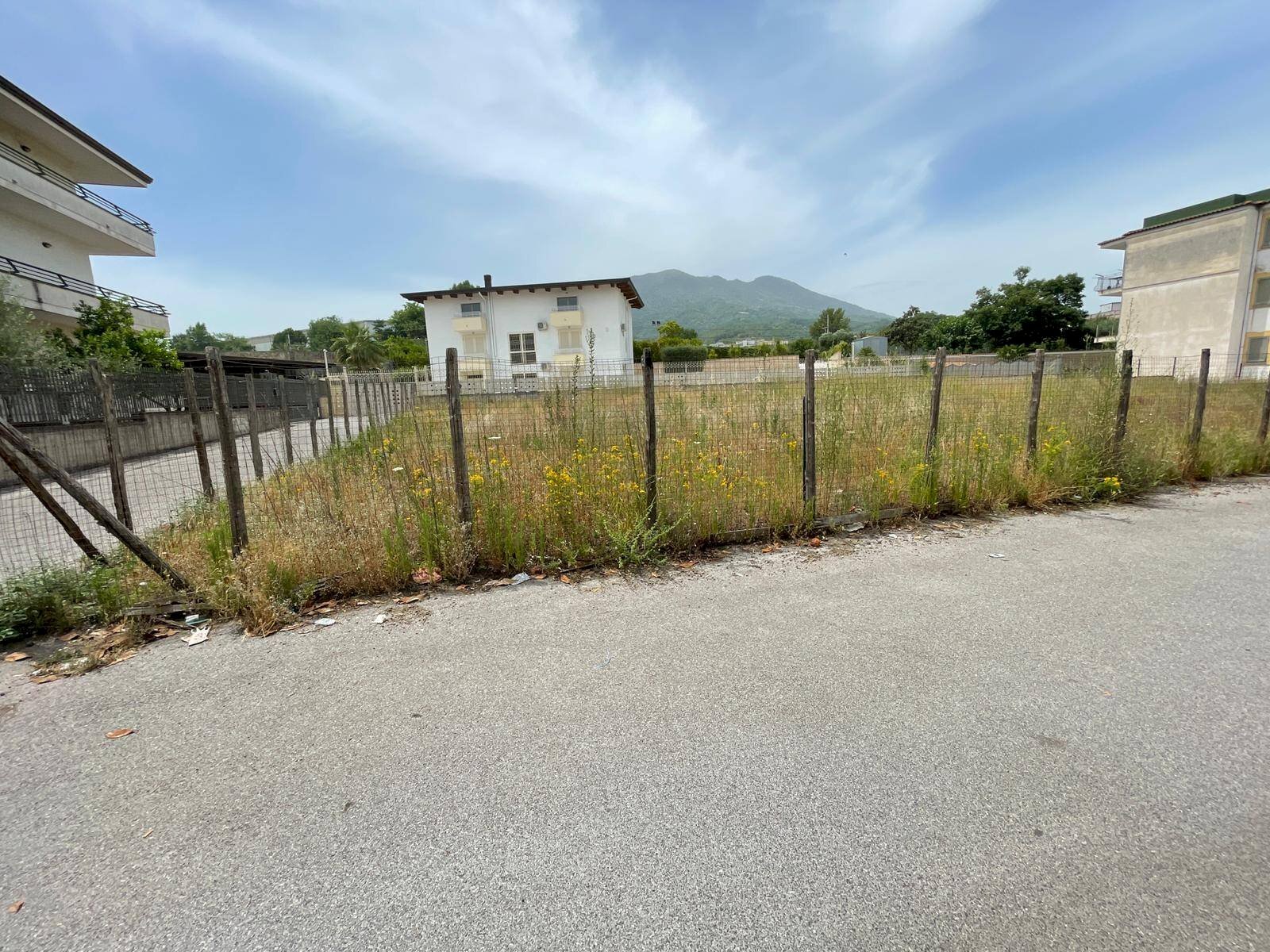 Foto 2 - Terreno agricolo Via Francesco Mastriani
 
1, Ottaviano - foto 2