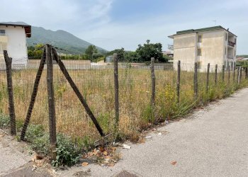 Foto 1 - Terreno agricolo Via Francesco Mastriani
 
1, Ottaviano - foto 1