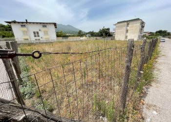 Foto 5 - Terreno agricolo Via Francesco Mastriani
 
1, Ottaviano - foto 5