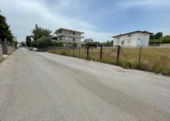 Foto 6 - Terreno agricolo Via Francesco Mastriani
 
1, Ottaviano - foto 6