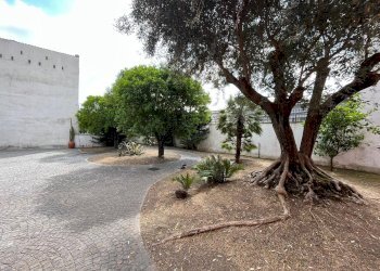 Foto 3 - Villa Via Silenzio
 
10, Ottaviano - foto 3