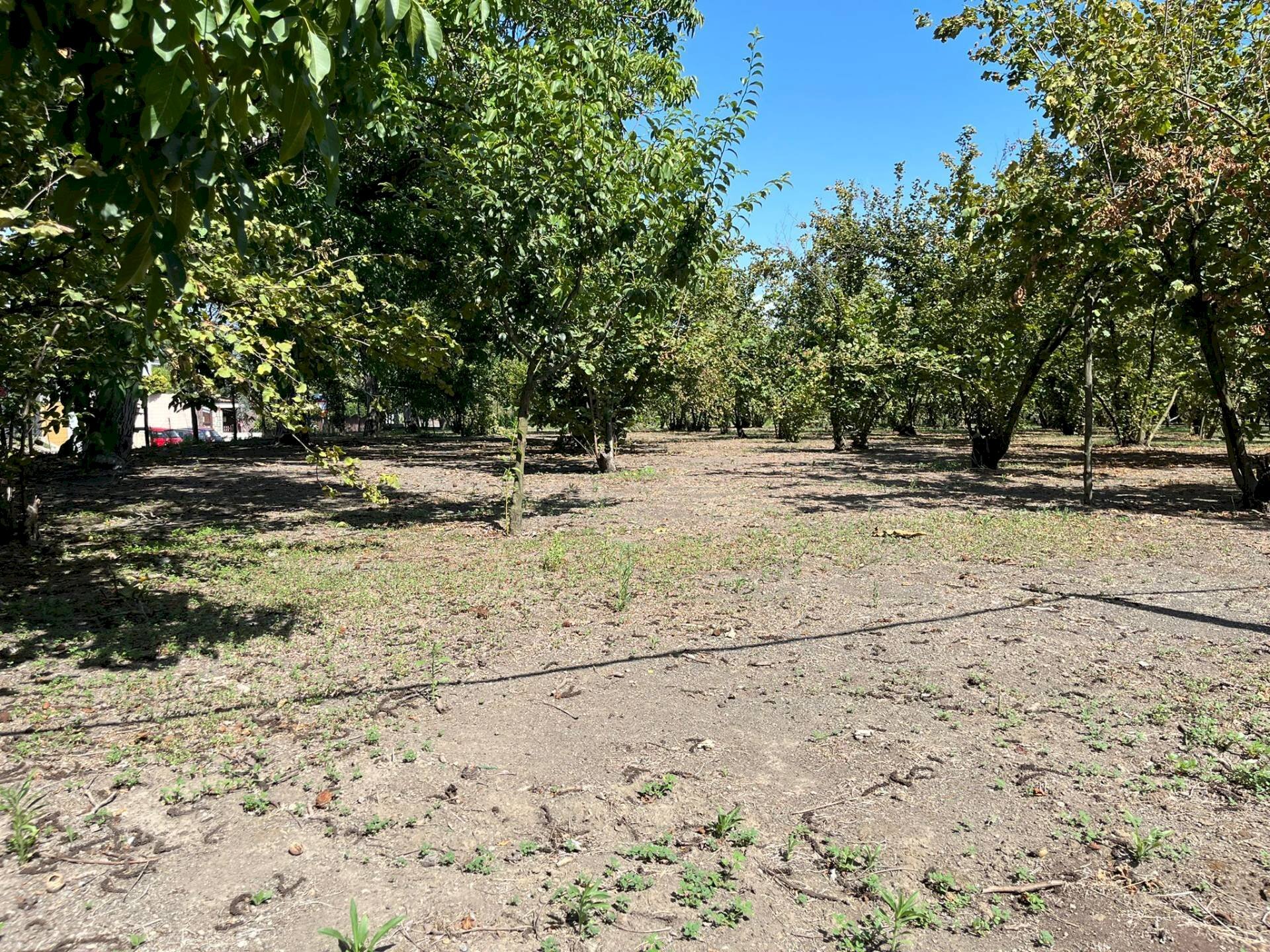 Foto 2 - Terreno agricolo Poggiomarino - foto 2