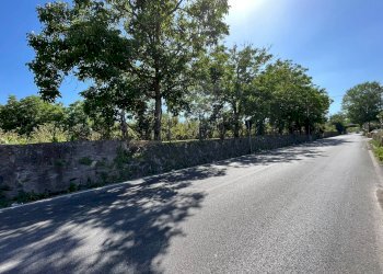 Foto 1 - Agricultural land Poggiomarino - photo 1