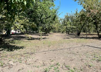 Foto 2 - Agricultural land Poggiomarino - photo 2