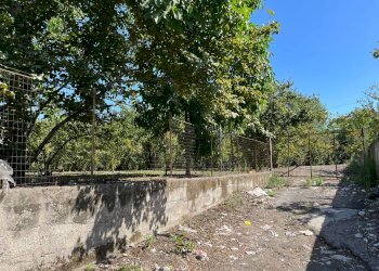 Foto 5 - Agricultural land Poggiomarino - photo 5