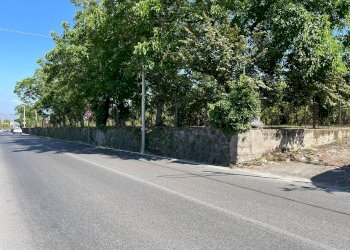 Foto 6 - Agricultural land Poggiomarino - photo 6