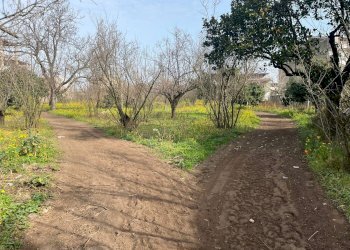 Foto 4 - Casa indipendente Via Pianillo
 
180, San Giuseppe Vesuviano - foto 4