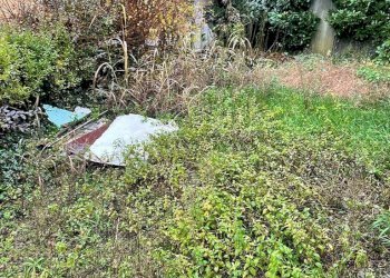 Foto 7 - Rustico VIA ALEARDI
 
4, Tradate - foto 7