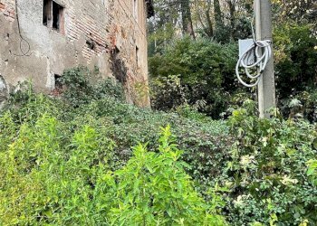 Foto 10 - Rustico VIA ALEARDI
 
4, Tradate - foto 10