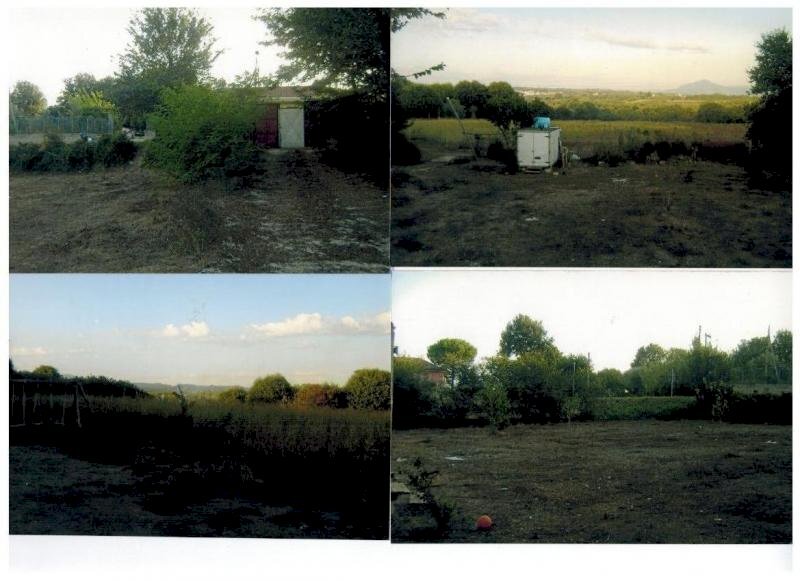 Foto 2 - Terreno agricolo via nazionale, Carinola - foto 2