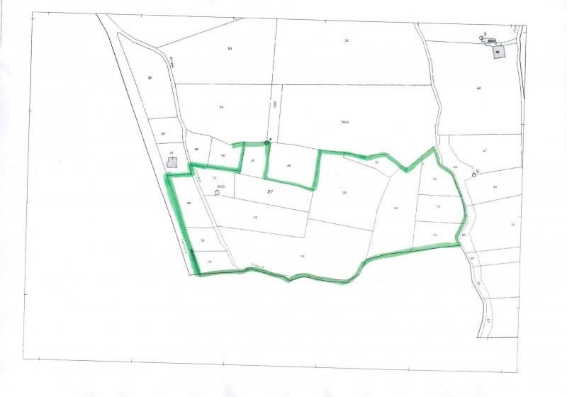 Foto 3 - Terreno agricolo via nazionale, Carinola - planimetria 1