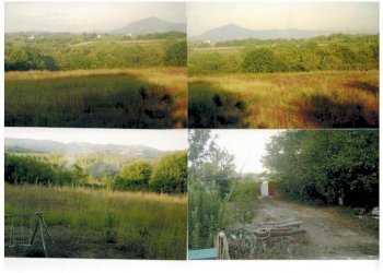 Foto 1 - Terreno agricolo via nazionale, Carinola - foto 1