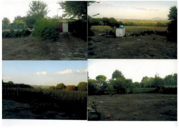 Foto 5 - Terreno agricolo via nazionale, Carinola - foto 4