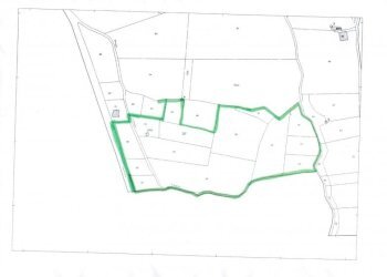 Foto 6 - Terreno agricolo via nazionale, Carinola - foto 5