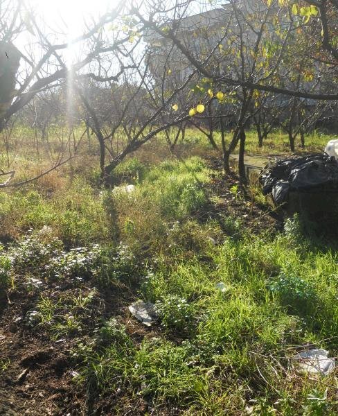 Foto 3 - Terreno agricolo via ripuaria, Qualiano - foto 3