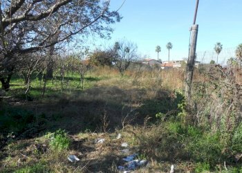 Foto 2 - Terreno agricolo via ripuaria, Qualiano - foto 2