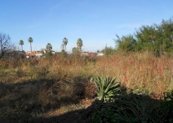 Foto 4 - Terreno agricolo via ripuaria, Qualiano - foto 4