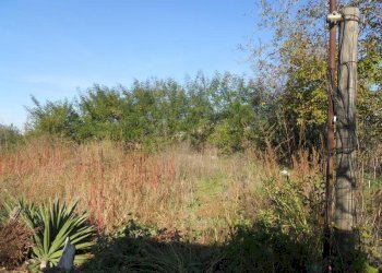 Foto 6 - Terreno agricolo via ripuaria, Qualiano - foto 6