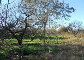 Foto 7 - Terreno agricolo via ripuaria, Qualiano - foto 7