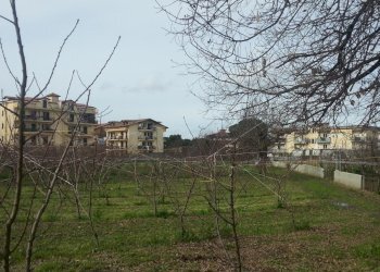 Foto 5 - Terreno agricolo corso Italia, Villaricca - foto 5