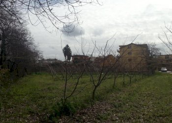 Foto 7 - Terreno agricolo corso Italia, Villaricca - foto 7