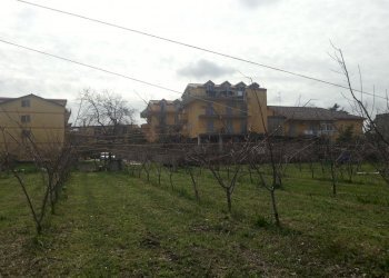 Foto 8 - Terreno agricolo corso Italia, Villaricca - foto 8