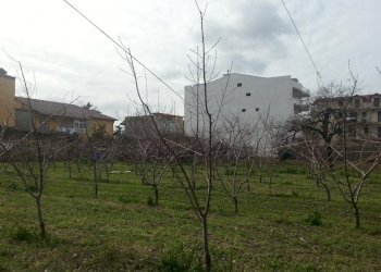 Foto 9 - Terreno agricolo corso Italia, Villaricca - foto 9