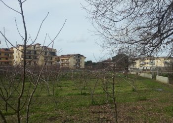 Foto 12 - Terreno agricolo corso Italia, Villaricca - foto 12