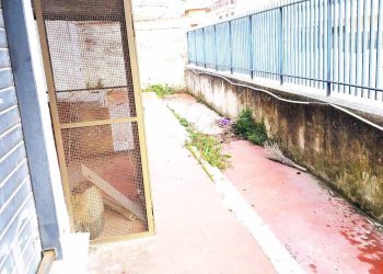 Foto 8 - Capannone via guglielmo pepe, Mugnano di Napoli - foto 8