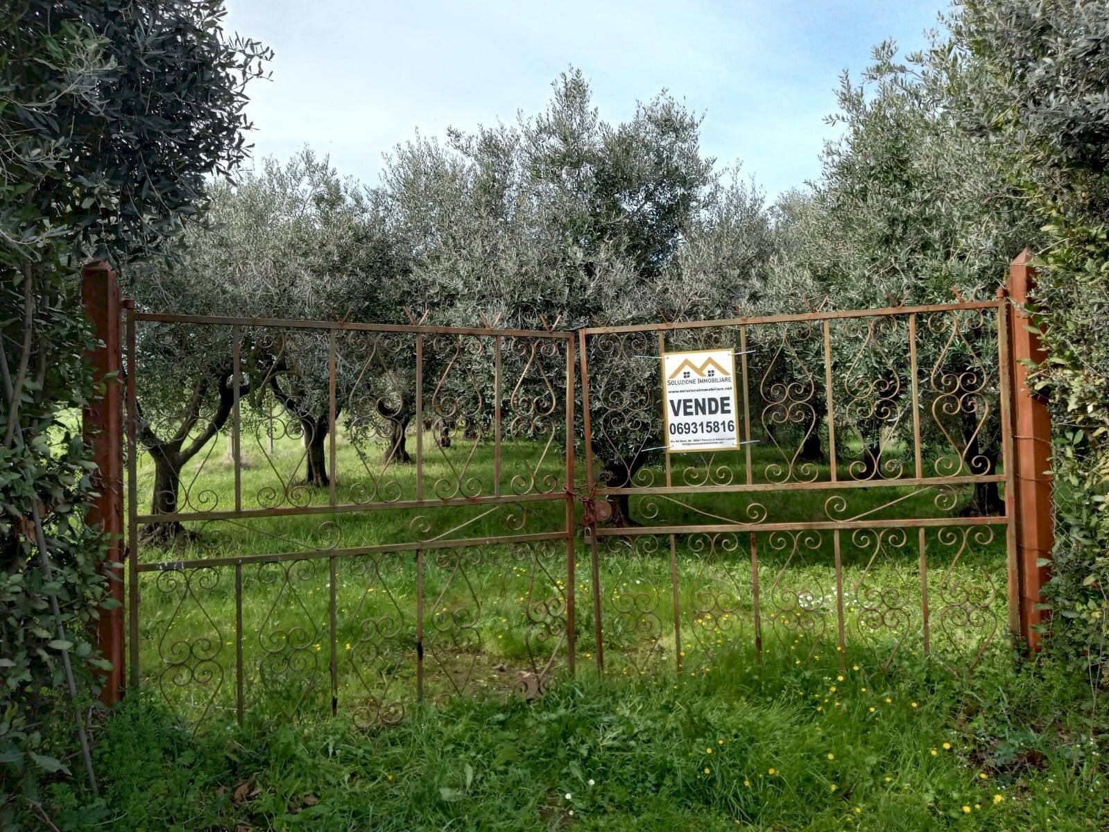 Foto 1 - Terreno agricolo VIA PIETRALCINA, Roma - foto 1
