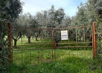 Foto 1 - Terreno agricolo VIA PIETRALCINA, Roma - foto 1
